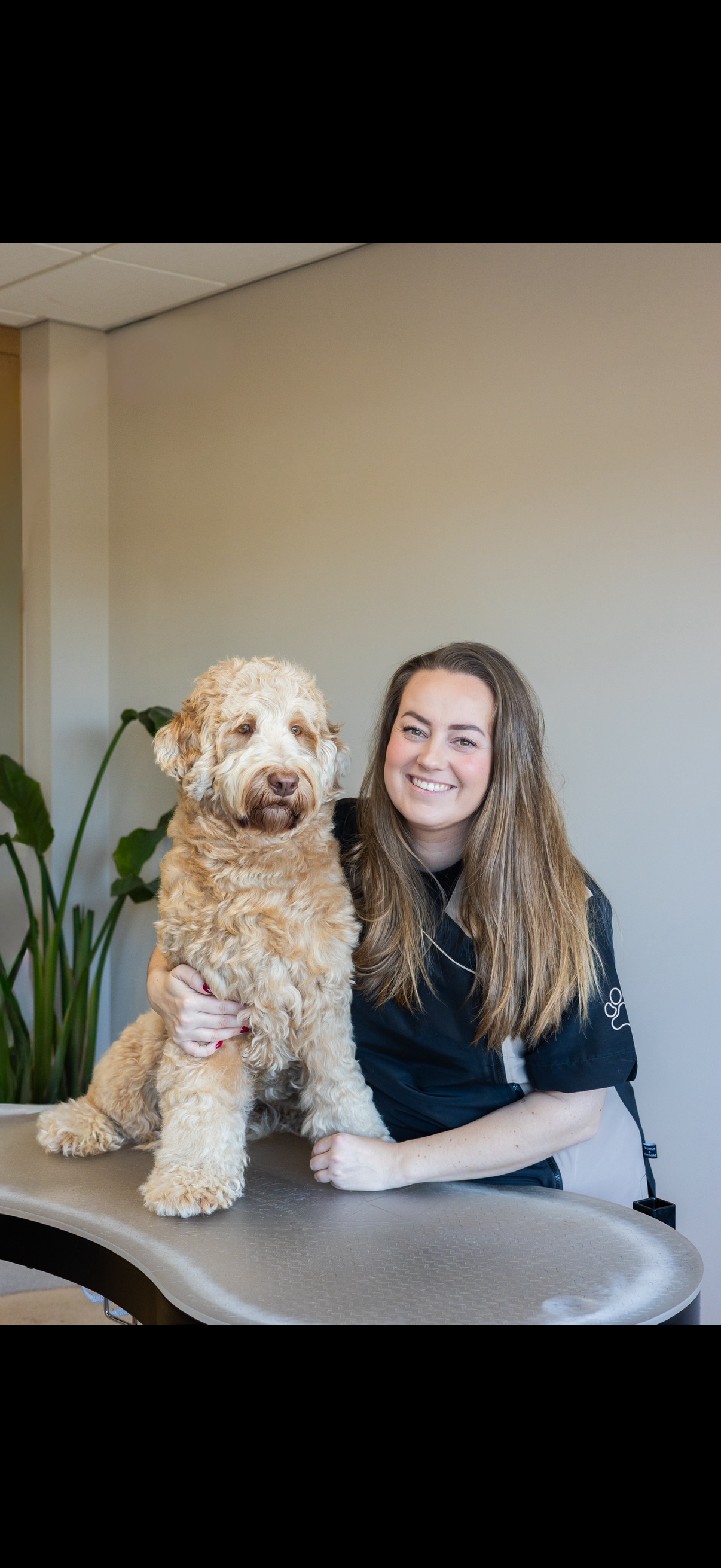 Foto bij de vermelding van Doodle Boutique
